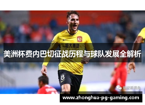 美洲杯费内巴切征战历程与球队发展全解析
