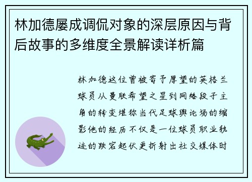林加德屡成调侃对象的深层原因与背后故事的多维度全景解读详析篇