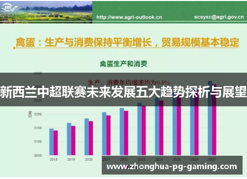 新西兰中超联赛未来发展五大趋势探析与展望