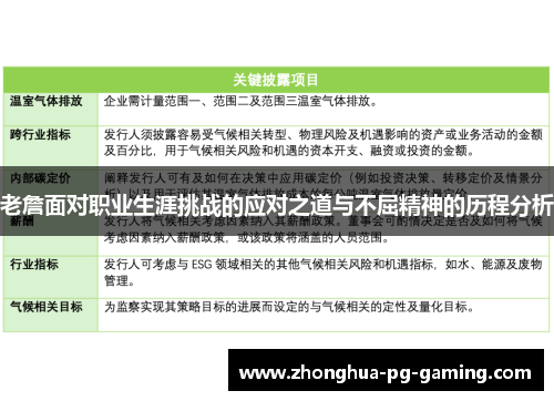 老詹面对职业生涯挑战的应对之道与不屈精神的历程分析