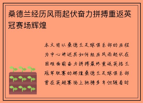 桑德兰经历风雨起伏奋力拼搏重返英冠赛场辉煌